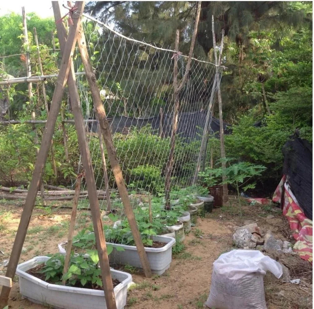 Kletternetz für Gartenbaupflanzen, gewebtes Netz aus Polyester, geeignet für andere Kletterpflanzen wie Tomaten, Bohnen, Trauben usw
