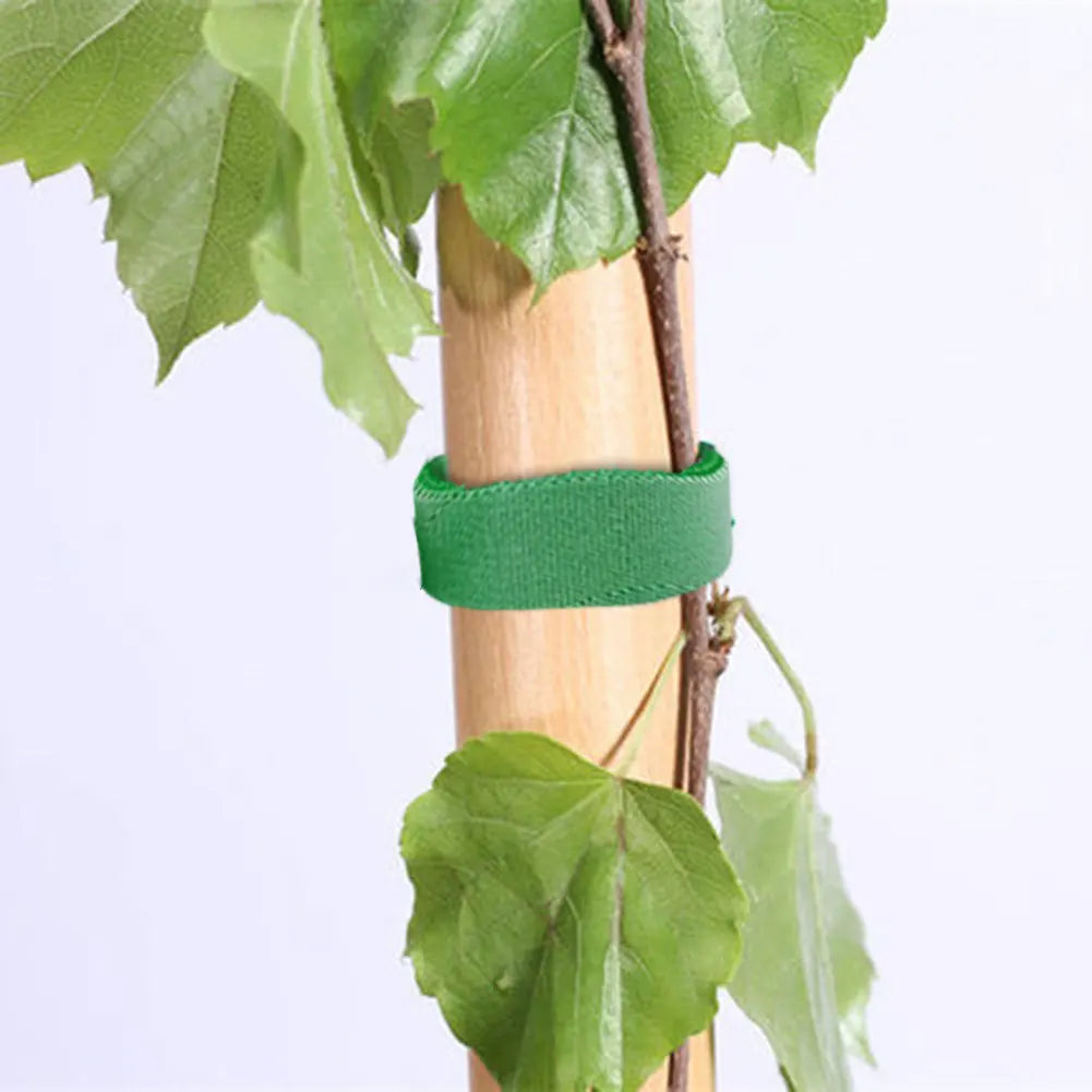 Verstellbare, selbstklebende Pflanzenbinder für den Garten, Nylon-Pflanzenverband, Gartenhakenschlaufe, Bambusrohrwickel, Unterstützung für Gartenzubehör