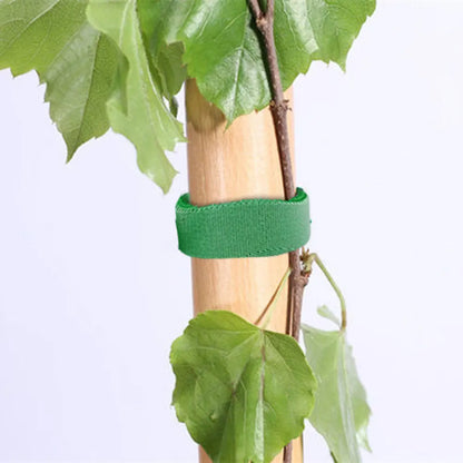 Verstellbare, selbstklebende Pflanzenbinder für den Garten, Nylon-Pflanzenverband, Gartenhakenschlaufe, Bambusrohrwickel, Unterstützung für Gartenzubehör
