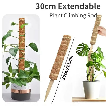 5/10 Stück Pflanzen-Moos-Coir-Stange, Kletterhilfe für Pflanzen, Verlängerung für Palmenranken, Stab für Innenbereich, Balkon, Garten, Hof, Blumendekoration