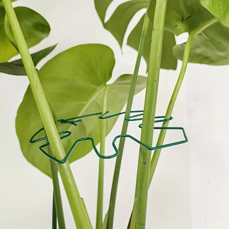 Pflanzenstabilisator, Pflanzenhalter zur Unterstützung von Monstera und Blumen, Pflanzenstütze