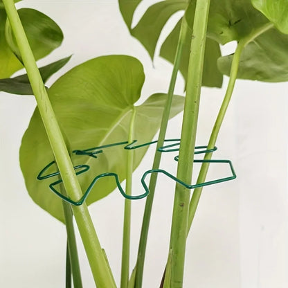 Pflanzenstabilisator, Pflanzenhalter zur Unterstützung von Monstera und Blumen, Pflanzenstütze