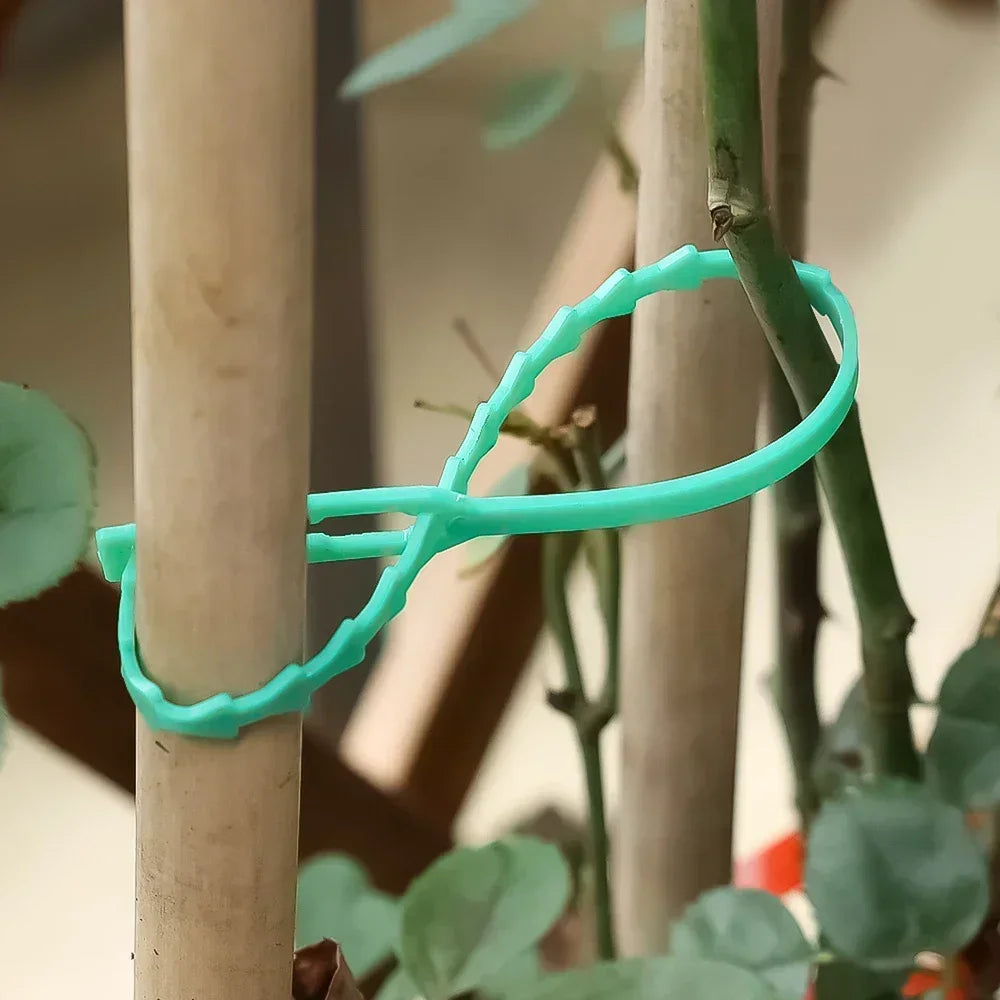 Wiederverwendbare Garten-Kabelbinder, Pflanzenrebe, Baumsträucher, Stützverschluss, verriegelbar, Nylon, verstellbarer Reißverschluss, Kabelbinder, Organizer 2042