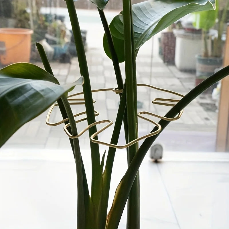 Pflanzenstabilisator, Pflanzenhalter zur Unterstützung von Monstera und Blumen, Pflanzenstütze