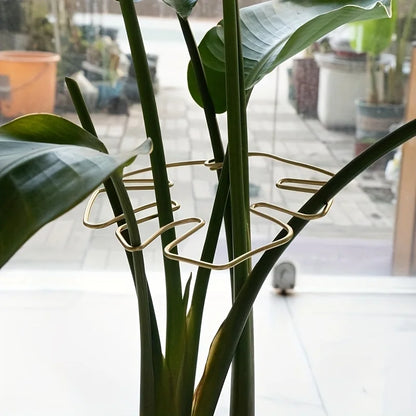 Pflanzenstabilisator, Pflanzenhalter zur Unterstützung von Monstera und Blumen, Pflanzenstütze