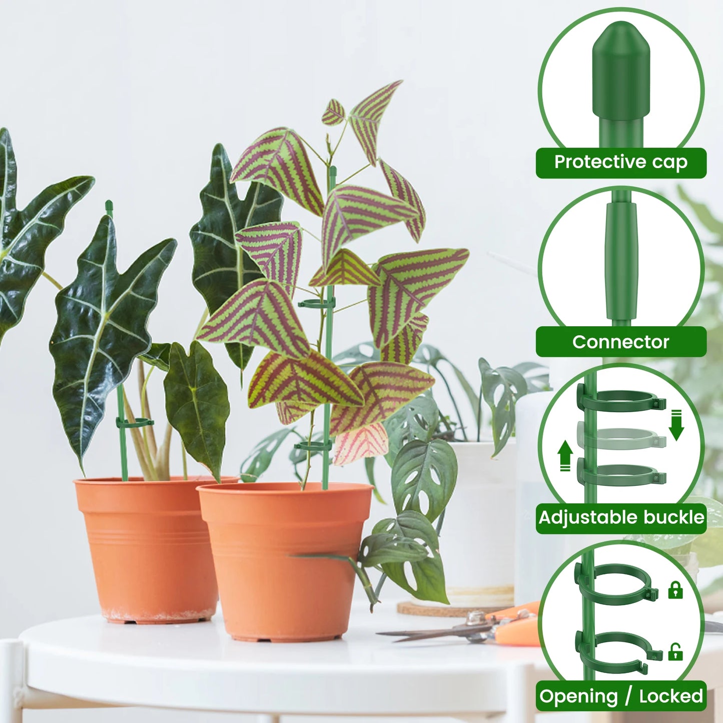 Pflanzenstützpfähle, verstellbare Pflanzenstützreifen mit einzelnem Stiel und Ring, Garten-Einzelstange, Amaryllis-Pflanzenstab für den Innenbereich
