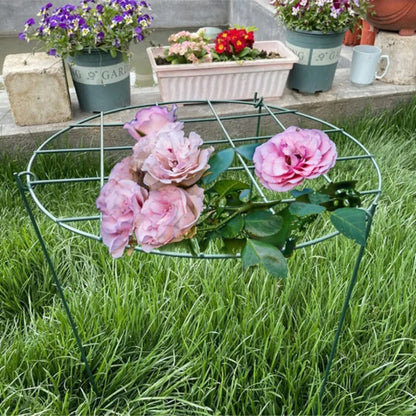 Pflanzens tütz stange Klammer Eisen rahmen Innenhof Garten Blumen regal Pflanzen Blumen arrangement wachsen unterstützt Blumentopf Rack