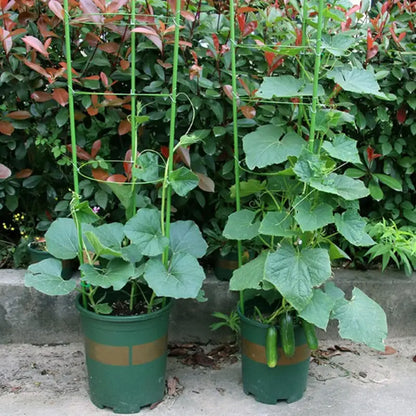 1/3/9 Stück/Set 3-Schichtige Pflanzenstütze Wachstumsstäbe Runde Pflanzenstützringe Kunststoff-Pflanzenkäfig-Holder Blumentopf-Kletterhilfe