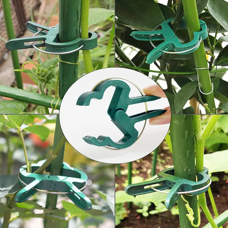 10–200 feste Pflanzenklammern, wiederverwendbare Gewächshaushalterung zum Befestigen von Blumenreben, Gemüse, Tomaten, Befestigungselement, Gartenbedarf
