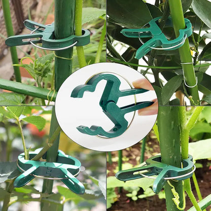 10–200 feste Pflanzenklammern, wiederverwendbare Gewächshaushalterung zum Befestigen von Blumenreben, Gemüse, Tomaten, Befestigungselement, Gartenbedarf