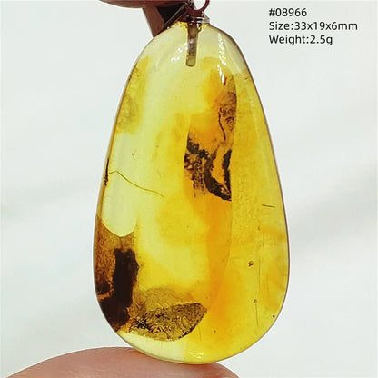 Natürlicher gelber Insekt-Bernstein-Anhänger für Damen und Herren, Bernstein-Insekt, baltischer Edelstein, Halskette, Schmuck, Heilung, AAAAA