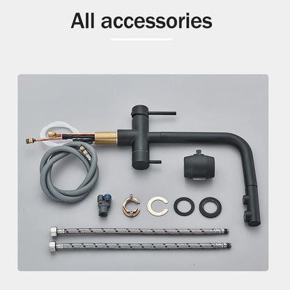 Rozin Wasserreiniger, Küchenarmatur, Schwarz, herausziehbarer flexibler Filter, Küchenarmaturen, Kran, Messing, 2-in-1-Mischbatterie für heißes und kaltes Wasser