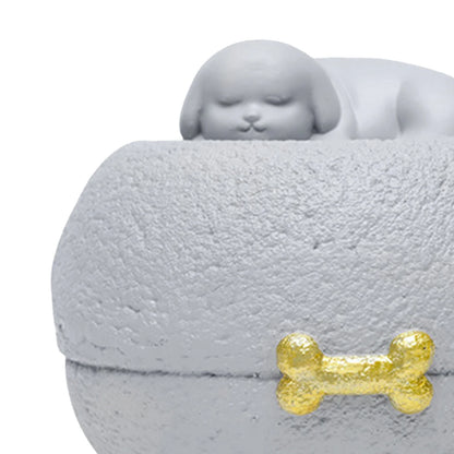 Pet Urn Cremation Memorial Urn Organizer Keepsake Case Storage Urn Box Hold Precious Memorable Casket Memorial Keepsake Box