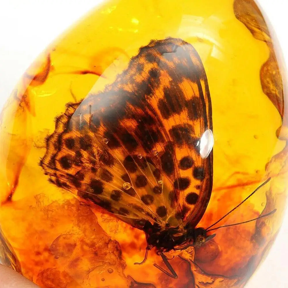 5*4cm schöne Bernstein Schmetterling Insekten Stein Anhänger Halskette Edelstein für DIY Jewell ery Anhänger Handwerk Heim textilien Z5n1