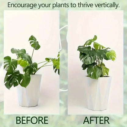 1/3/5 Stück Monstera-Pflanzenpfähle, vertikale Wachstumsstammunterstützung für Gartenpflanzen im Innen- und Außenbereich, Zubehör, Werkzeuge