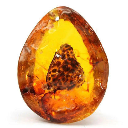 5*4cm schöne Bernstein Schmetterling Insekten Stein Anhänger Halskette Edelstein für DIY Jewell ery Anhänger Handwerk Heim textilien Z5n1