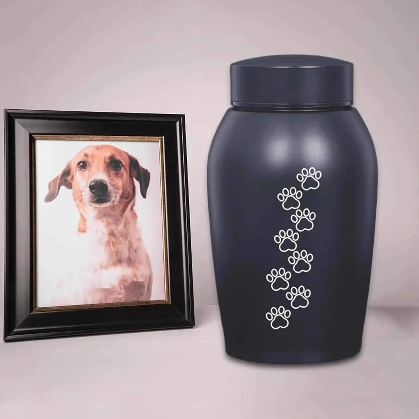 Dog Cat Ashes Stainless Steel Pet Urn Funeral Cremation Urn Pet Burial Memorial Keepsake Box Kitty Kitten