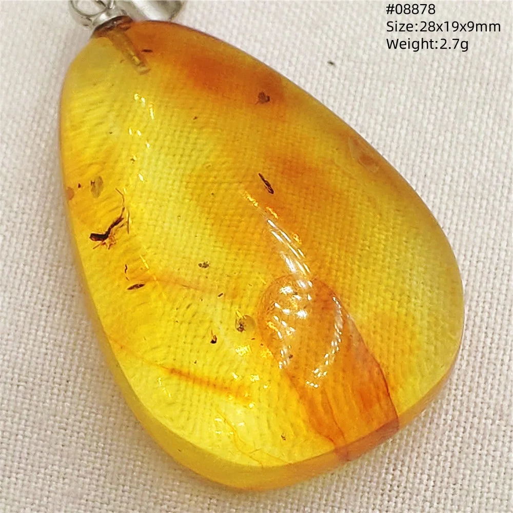 Natürlicher gelber Insekt-Bernstein-Anhänger für Damen und Herren, Bernstein-Insekt, baltischer Edelstein, Halskette, Schmuck, Heilung, AAAAA