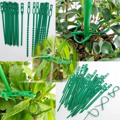 Verstellbare Kunststoff-Pflanzenkabelbinder, wiederverwendbare selbstsichernde Kabelbinder, Gartenpflanzenrebe, unterstützt Kabelbinder, Stiel, Tomaten-Clip-Verschluss