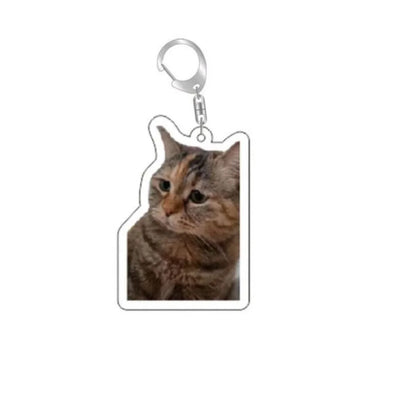 Huh Katzen-Schlüsselanhänger, Meme-Schlüsselanhänger, Fanny-Katze, Schlüsselanhänger, sprechende Katzen, verwirrte Katze, Anhänger, süßes Geschenk