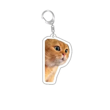 Huh Katzen-Schlüsselanhänger, Meme-Schlüsselanhänger, Fanny-Katze, Schlüsselanhänger, sprechende Katzen, verwirrte Katze, Anhänger, süßes Geschenk