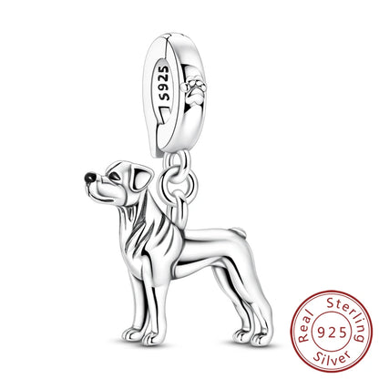 Neue Original Charms Perlen Anhänger 925 Sterling Silber Teddy Pudel Hund Katze Universal Schnalle Charms Fit Armband DIY Schmuck Geschenk