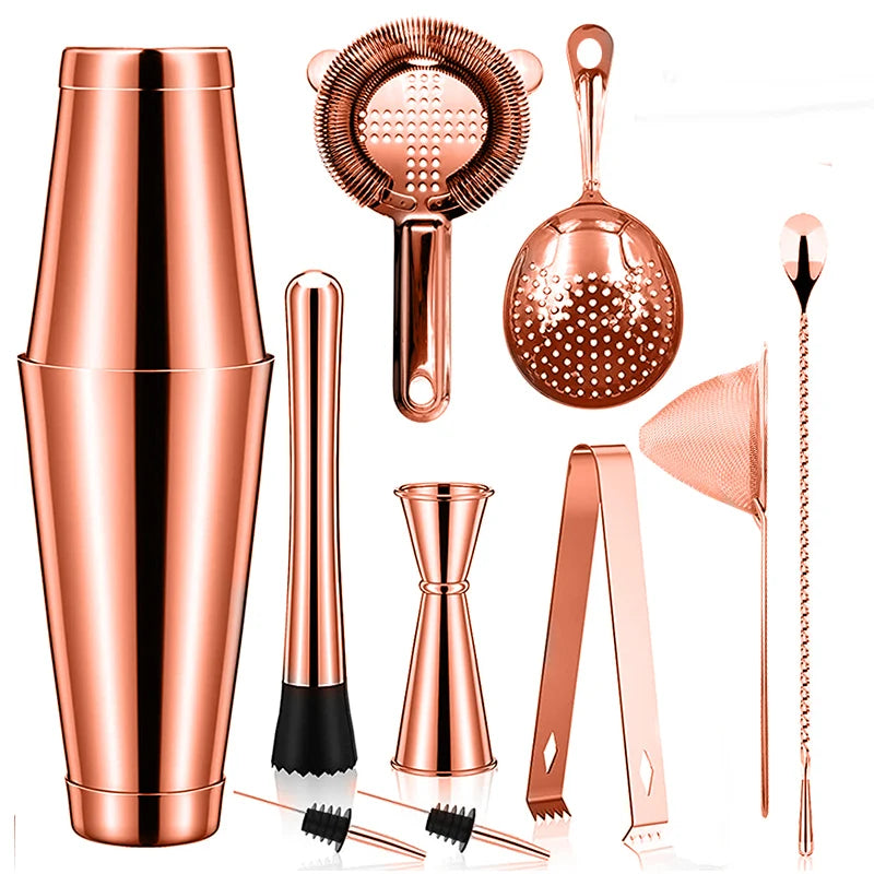Cocktail Shaker Bar Set: 2 Gewichteten Boston Shaker, Cocktail Sieb Set,Jigger,Muddler und Löffel, eis Tong und 2 Flasche Ausgießer