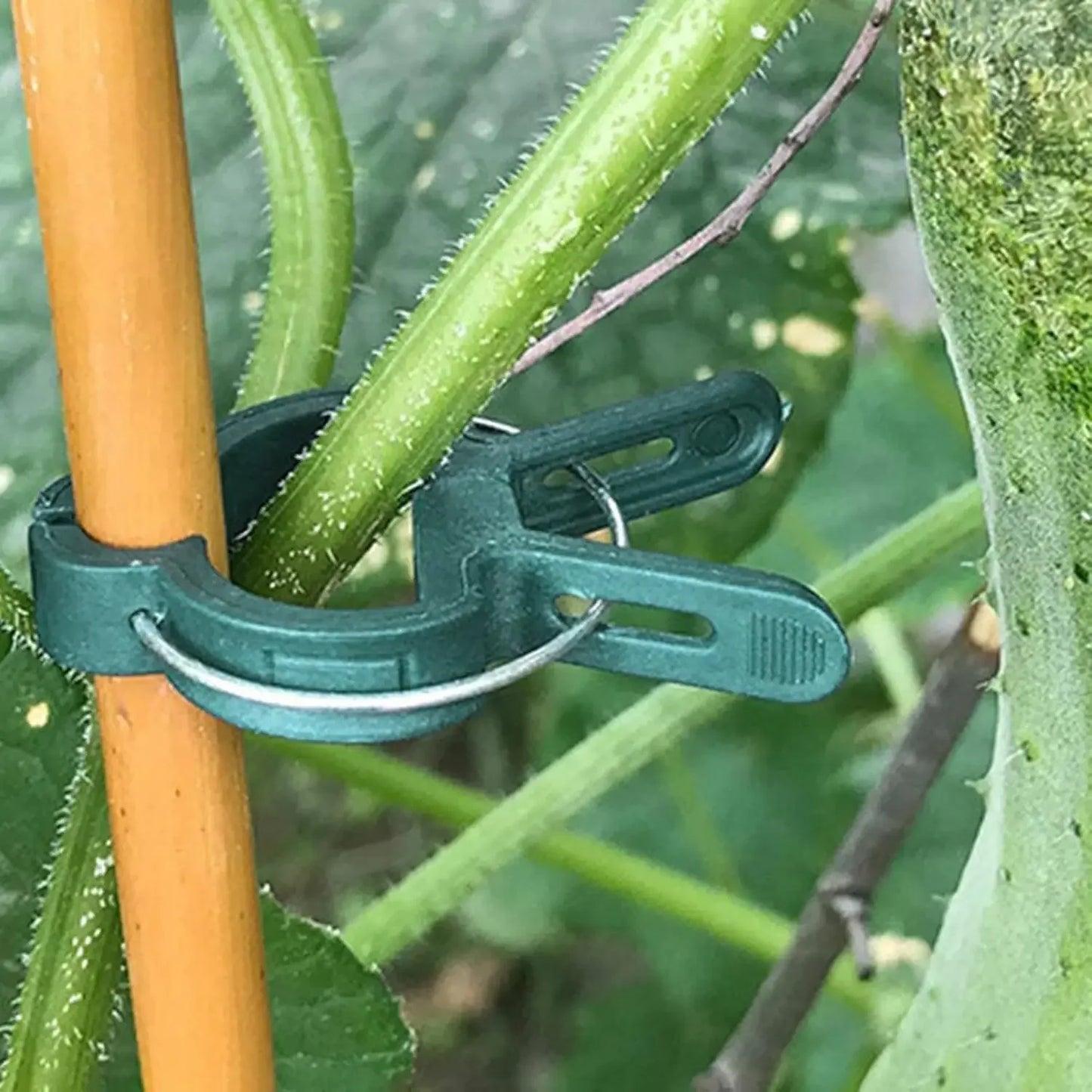 Feste Pflanzenklammern, wiederverwendbare Gewächshaushalterung zum Befestigen von Blumenreben, Gemüse, Tomaten, Befestigungselement, Gartenbedarf