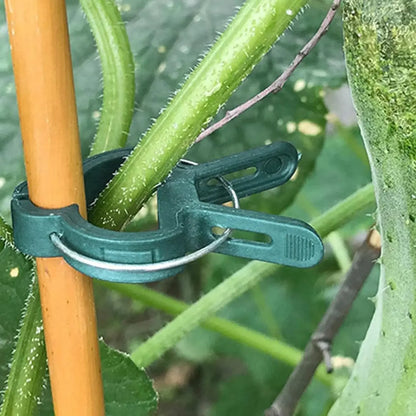 Feste Pflanzenklammern, wiederverwendbare Gewächshaushalterung zum Befestigen von Blumenreben, Gemüse, Tomaten, Befestigungselement, Gartenbedarf
