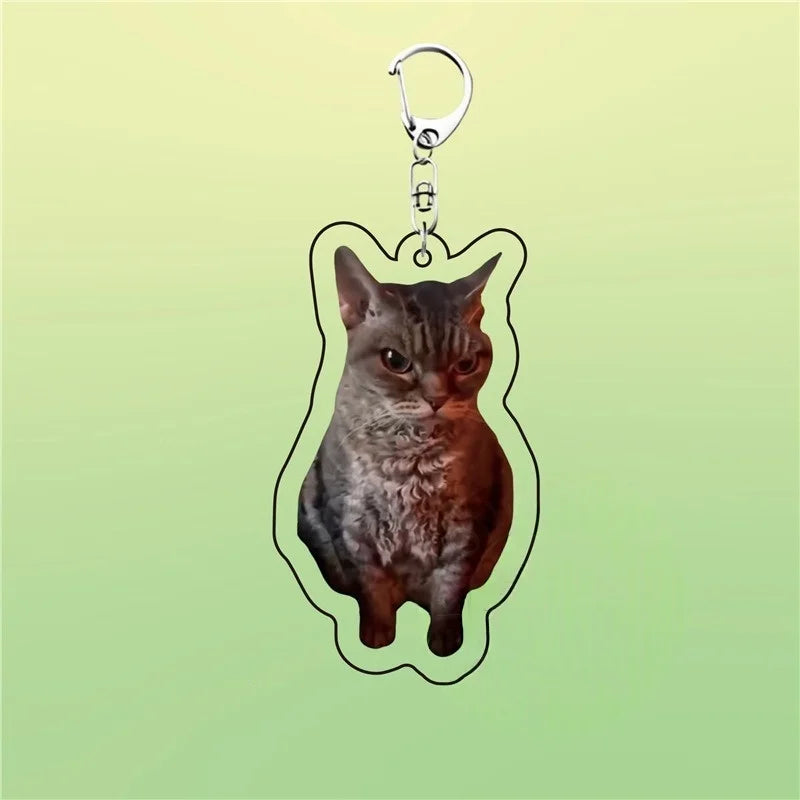 Huh Katzen-Schlüsselanhänger, Meme-Schlüsselanhänger, Fanny-Katze, Schlüsselanhänger, sprechende Katzen, verwirrte Katze, Anhänger, süßes Geschenk
