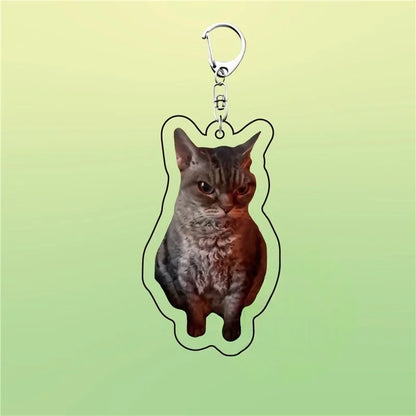Huh Katzen-Schlüsselanhänger, Meme-Schlüsselanhänger, Fanny-Katze, Schlüsselanhänger, sprechende Katzen, verwirrte Katze, Anhänger, süßes Geschenk