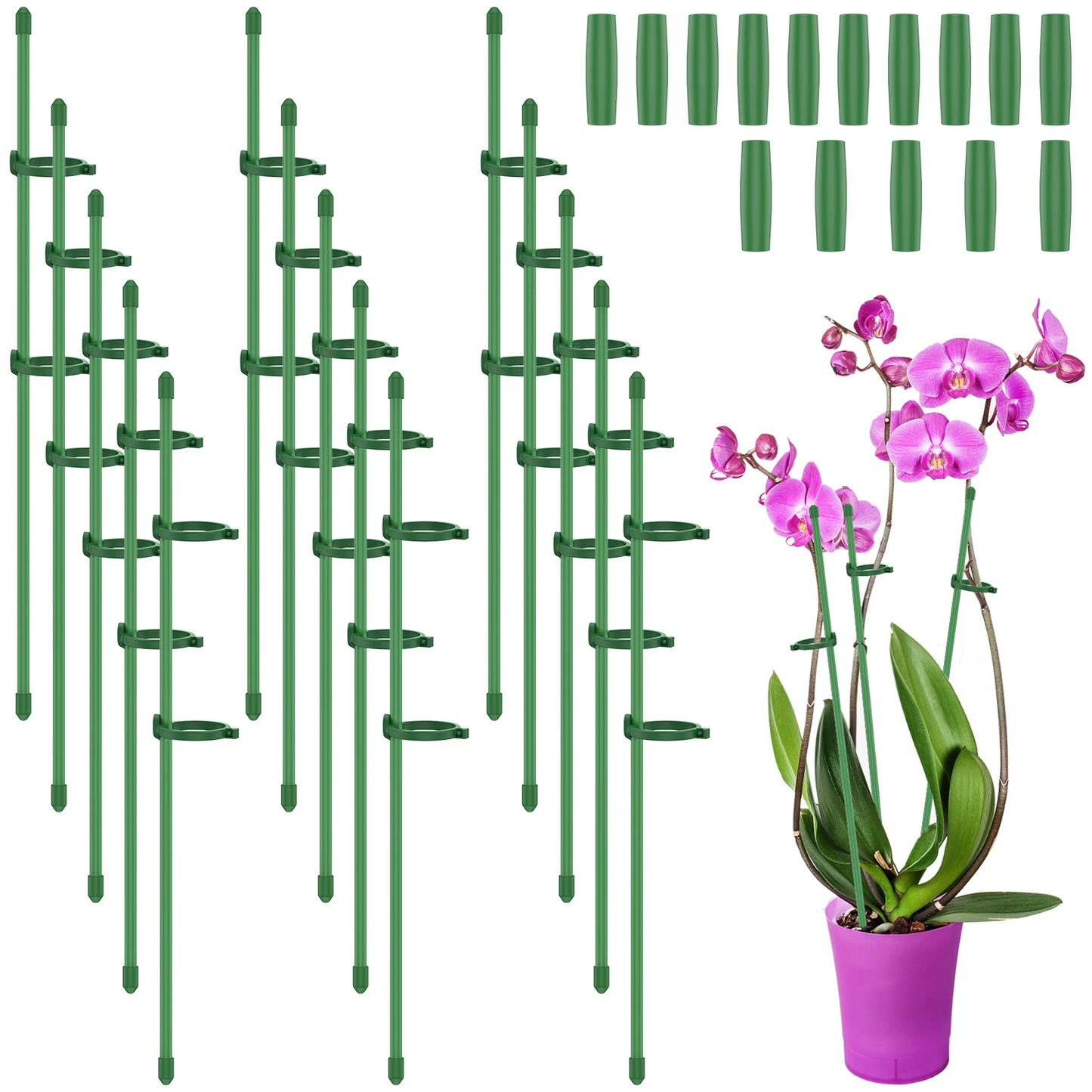 20/30Pcs Anlage Unterstützt Stakes Blume Ständer Sticks Garten Einzigen Stem Blume Unterstützung Stake Bonsai Befestigungs Werkzeug Blume wachsen Halter