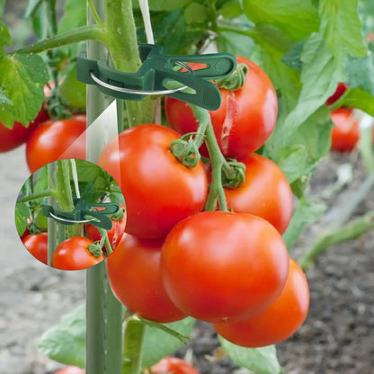 Feste Pflanzenklammern, wiederverwendbare Gewächshaushalterung zum Befestigen von Blumenreben, Gemüse, Tomaten, Befestigungselement, Gartenbedarf