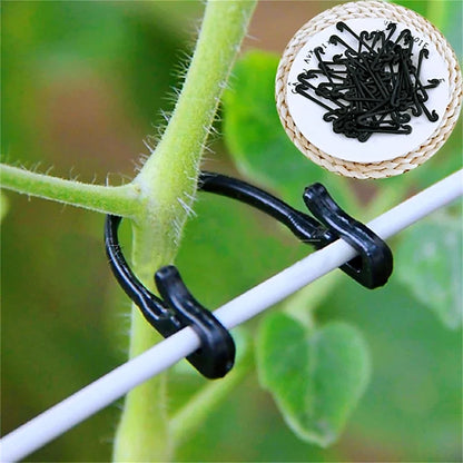 Ranken Verschluss Kunststoff gebundene Schnalle Haken Gartenarbeit Trauben Unterstützung Gemüse Umreifung Clips feste Schnalle Haken Pflanzenhalter