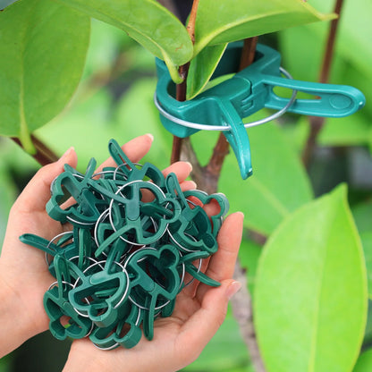 20-120 stücke Anlage Feste Clips Wiederverwendbare Garten Anlage Unterstützung Halterung Für Feste Pflanzen Reben Blume Sämling Stamm Garten Liefert