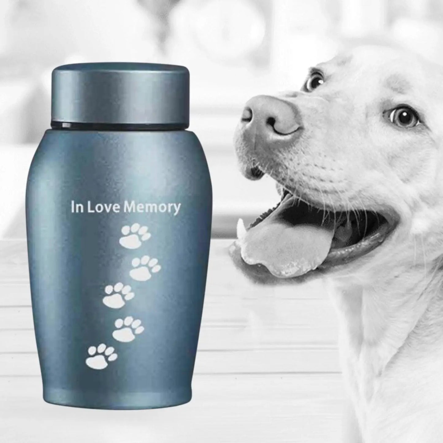 Cremation Memorial Urn, Unforgettable Loose Memorial Urn for Pets, Gift, Funeral, Cremation Urn, Storage, Pet Urns for Dogs, Ashes, Keeps Memories