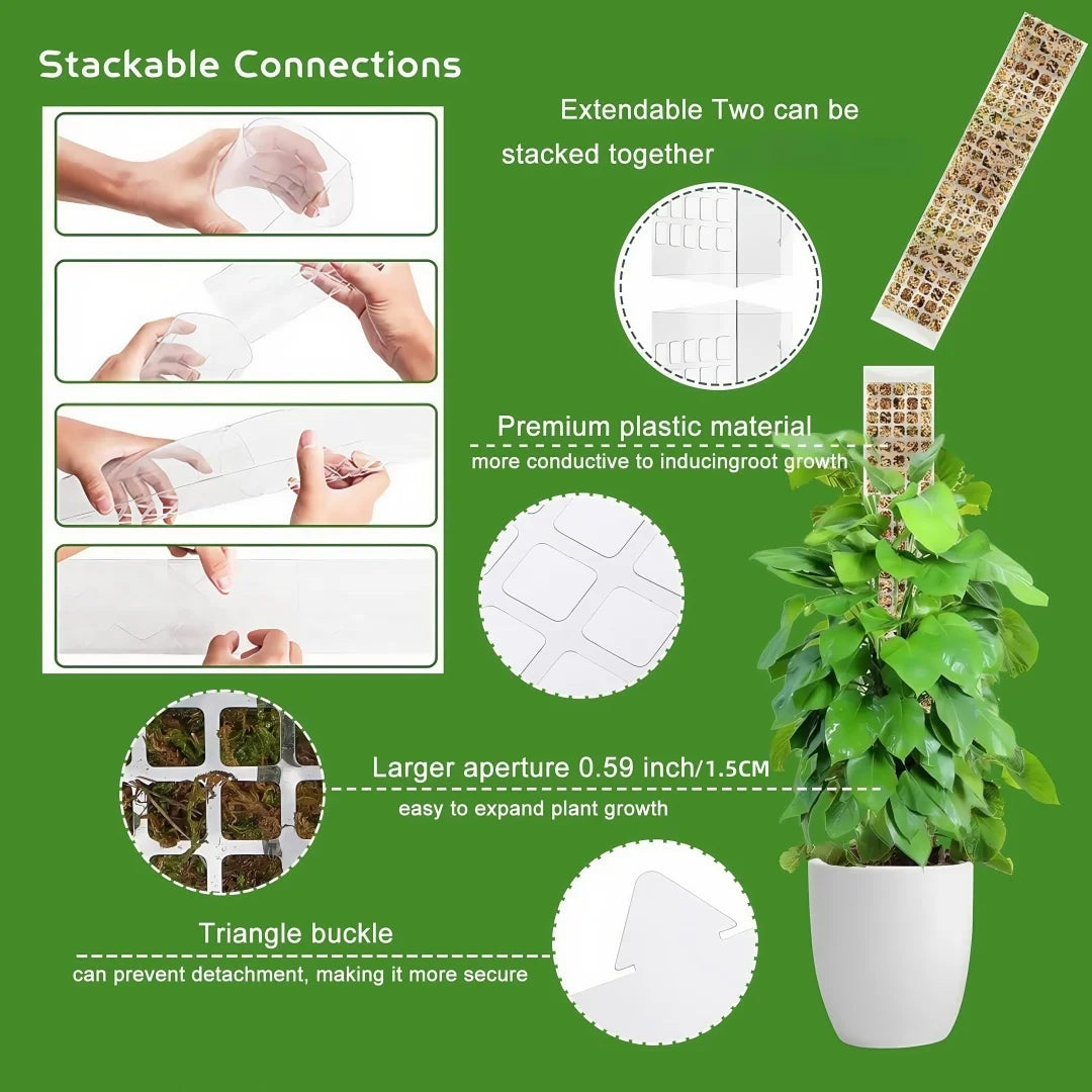 Kunststoff-Moosstange für Pflanzen Monstera, 24 Zoll/36 Zoll/48 Zoll Pflanzenstangen für Kletterpflanzen, Unterstützung für Zimmerpflanzen, Gartenwachstumspfahl