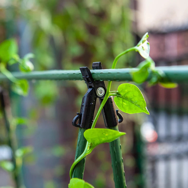Gurkenspalier-Set, A-Rahmen für Garten-Gemüsepflanzen, wachsen, unterstützt passend für Kletterpflanzen, abnehmbar mit Netz und Clips