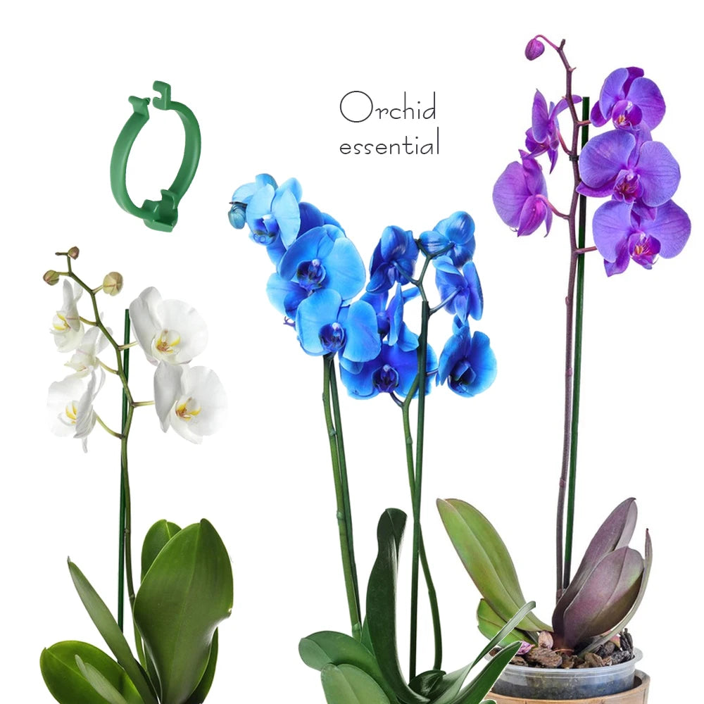 Pflanzenstützpfähle mit Clips, verstellbare Garten-Einzelstangen mit Ringen für Zimmer- und Außenpflanzen, Blumen, Tomaten