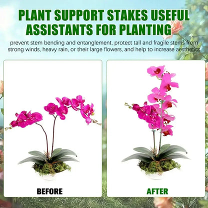 5/10PCS Anlage Unterstützt Stehen Schmetterlinge Orchidee Blume Topf Befestigungs Stangen Wiederverwendbare Gemüse Schutz Befestigungs Werkzeug Gartenarbeit Su