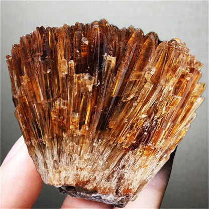 Hochwertige natürliche gelbe Bernstein-Calcit-Rohsteinkristalle, Cluster-Edelstein-Kollektion von Rohgestein-Mineralproben, heilendes Geschenk