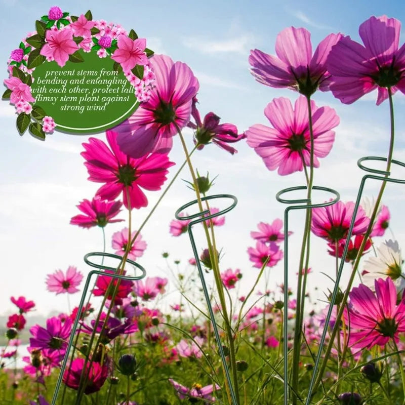 1-10 stücke Gartenarbeit Anlage Unterstützt Wiederverwendbare Blume Stehen Schutz Befestigungs Werkzeug Garten Liefert Gemüse Halter Halterung
