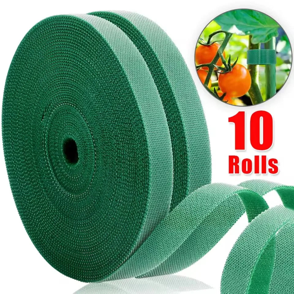 Einstellbare 100/2M Selbstklebende Pflanzen Nylon Krawatten Grüne Pflanze Verband Garten Haken Schleife Bambus Cane Wrap Unterstützung garten Liefert