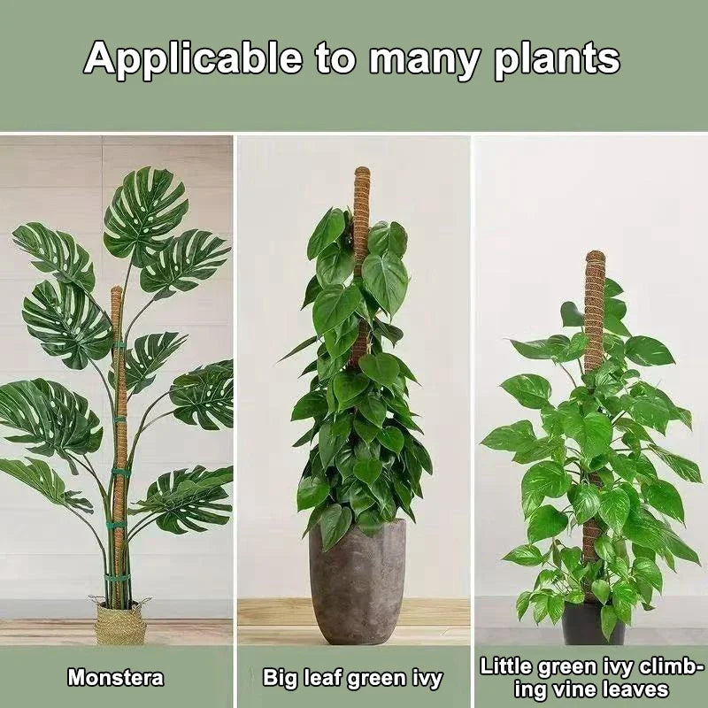 Hochwertige Monstera-Moosstangen, Biegbare Kletterpflanzen-Stützen, Indoor-Kokosfaser-Unterstützung, Garten-Rankhilfe für Alle Pflanzenarten