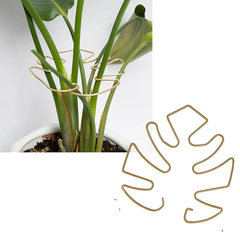 1/3/5 Stück Monstera-Pflanzenpfähle, vertikale Wachstumsstammunterstützung für Gartenpflanzen im Innen- und Außenbereich, Zubehör, Werkzeuge