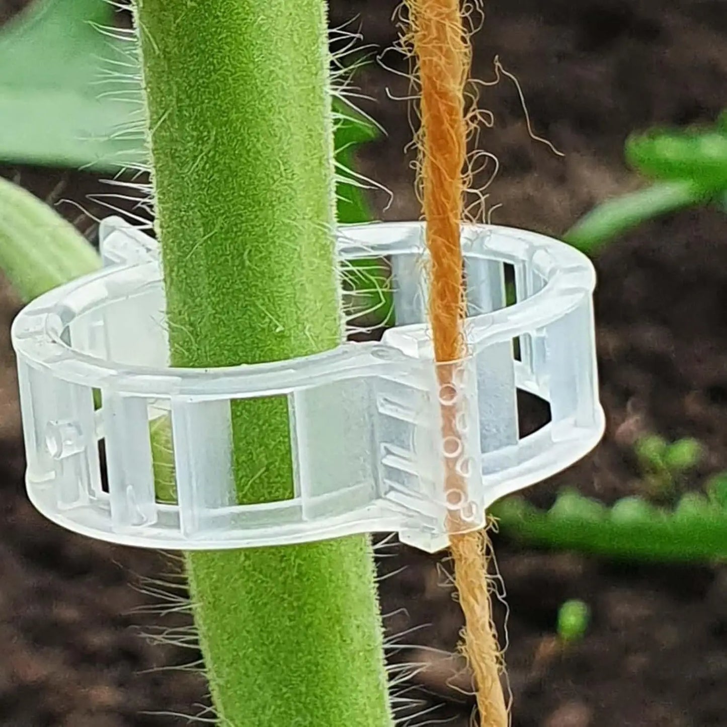 Wiederverwendbare Pflanzenstützklammern für Tomaten, Weinreben und Blumenstiele – Rankhilfen und Gartenveredelungswerkzeuge