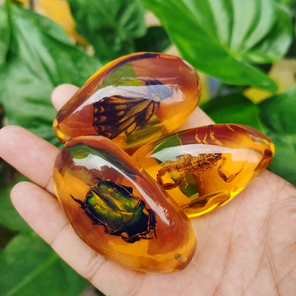 Insekten Bernstein Edelstein DIY Handwerk Geschenk Insekten Bernstein Edelstein Skorpion natürliche und mineralische Steine Home Decor