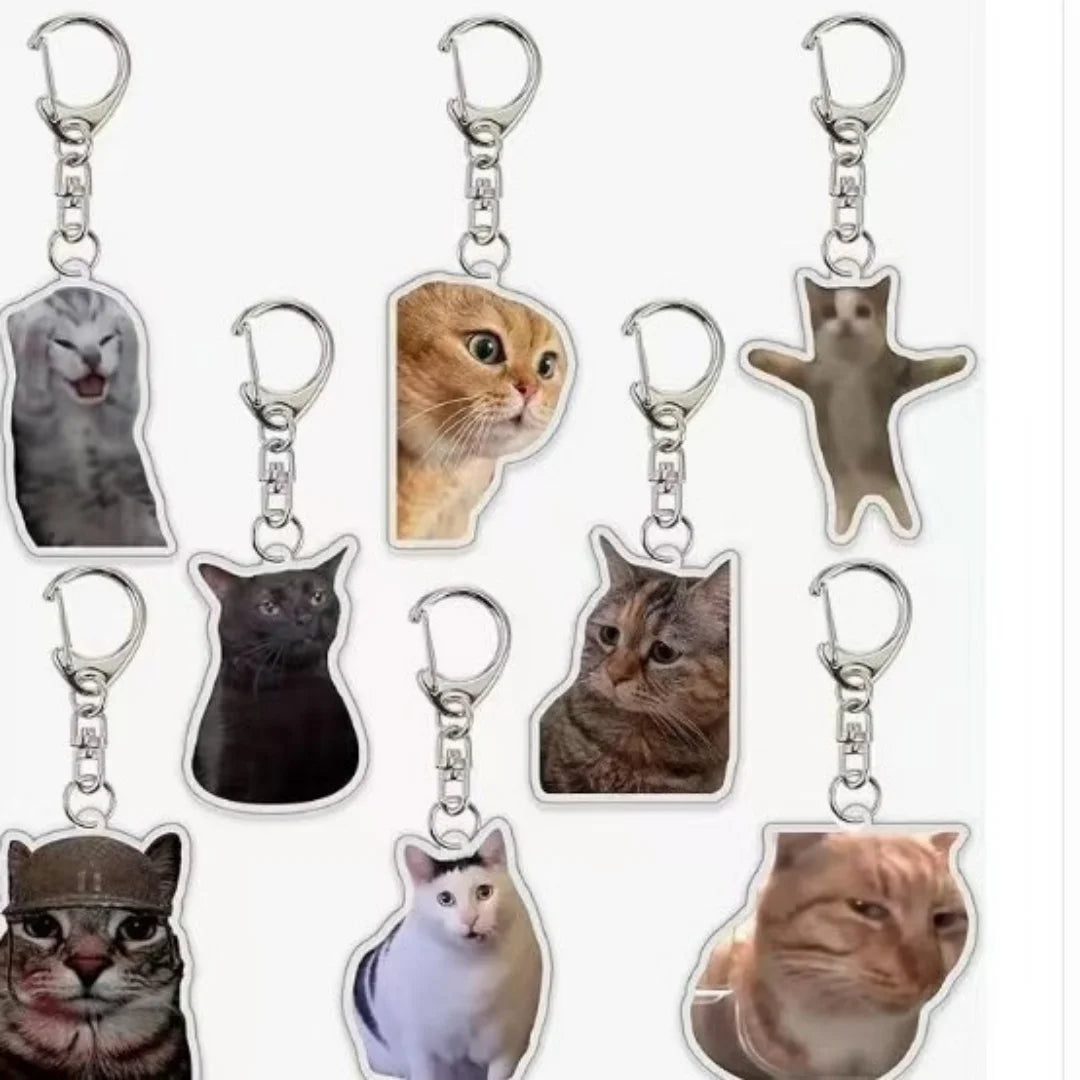 Huh Katzen-Schlüsselanhänger, Meme-Schlüsselanhänger, Fanny-Katze, Schlüsselanhänger, sprechende Katzen, verwirrte Katze, Anhänger, süßes Geschenk