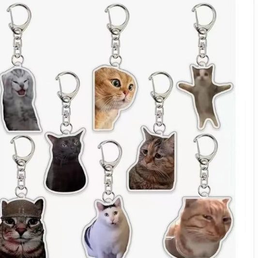 Huh Katzen-Schlüsselanhänger, Meme-Schlüsselanhänger, Fanny-Katze, Schlüsselanhänger, sprechende Katzen, verwirrte Katze, Anhänger, süßes Geschenk