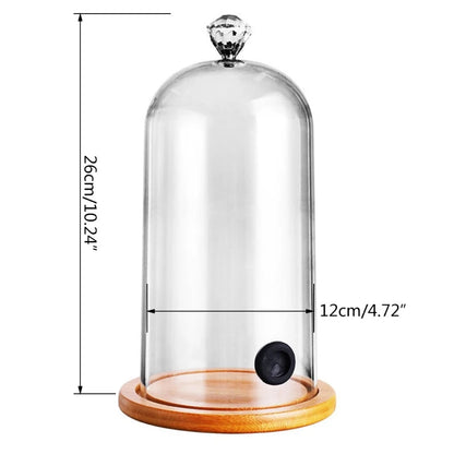 Kunststoff Rauchen Cloche Haube Molekulare Küche Lebensmittel Dome Abdeckung Deckel mit Gummi Löcher Holz Basis für Cocktail Kuchen Getränke T21C